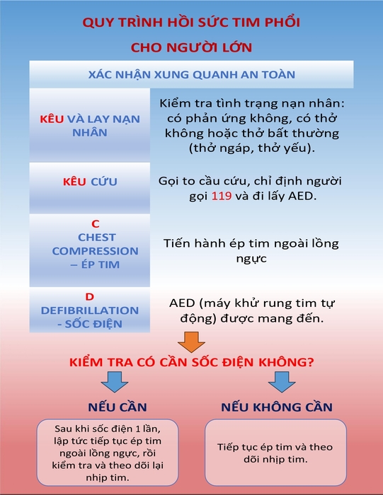 教育部境外生資訊專線 ( Đường dây thông tin của Bộ giáo dục dành cho sinh viên nước ngoài )圖片